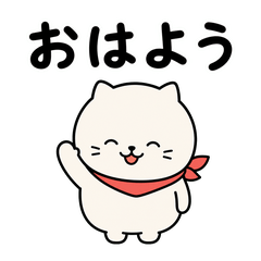 A cat wearing a scarf