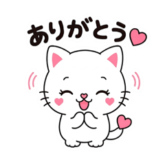 Mochi Cat | Mochi Hug