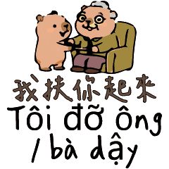 6水豚的長輩照顧日常