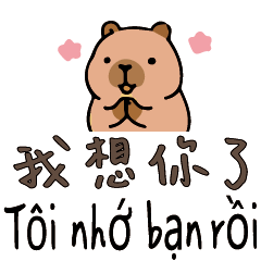 7水豚的日常社交問候