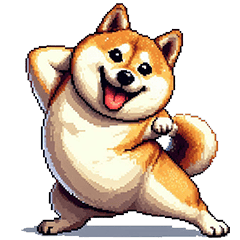 ノリノリな太っちょ柴犬