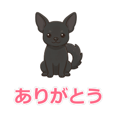 Daily Chihuahua (Black).