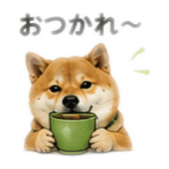 hikaru_20260803001000