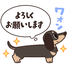 ダックスは思っている◆黒タン◆基本の挨拶