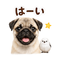 Cozy Pug and Shimaenaga Reply Stickers