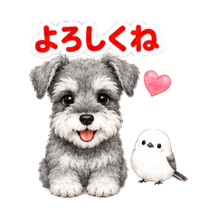 Easy Miniature Schnauzer and Shimaenaga