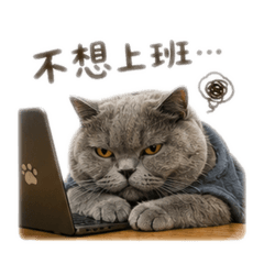 Miimo討厭上班
