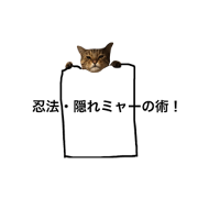 cat's commonly used word