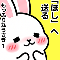 For Hoshi - Moffuri maru Rabbit 1