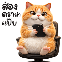 แมวส้ม อิอิ