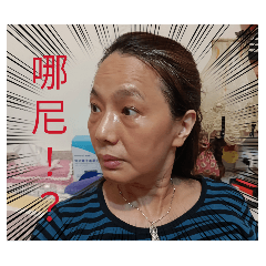 我可愛的陳氏家人