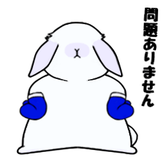 Rabbit Punch Vol.2