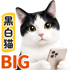[BIG] Caring Black and White Cat Message