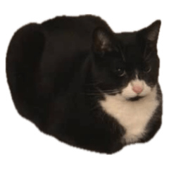 Okey-Doken