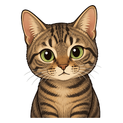sweetpotato cat