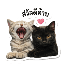 Ainunga_20260527154923