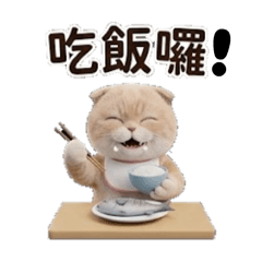 可愛的奶熊貓貓
