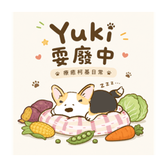 Yuki耍廢中