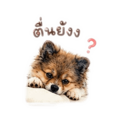 Peach24_20260529180009