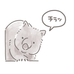lovely wombat stickers