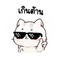bear bear_20260601235004