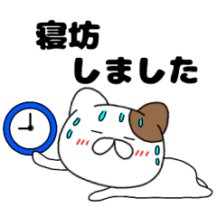 A cat that can be used everyday2
