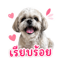 kanu_20260602084904