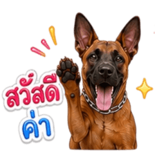 Brownie Thai Ridgeback