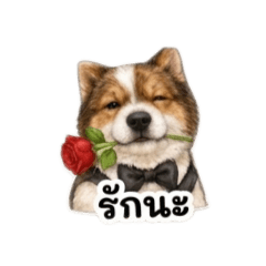 Little Beta_20260724221652