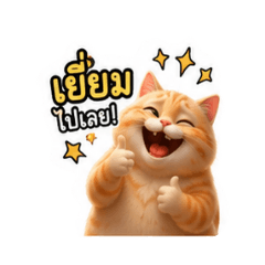 marapol_20260724223925