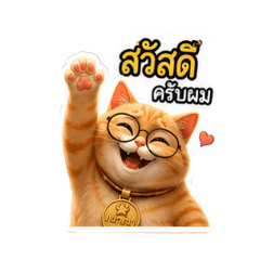 marapol_20260724224542