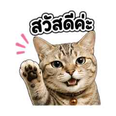 My cat name is blue v2