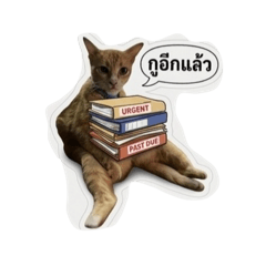 Kamolchanok_20260725163859