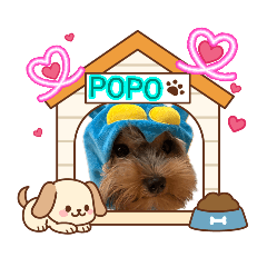 popopopopopopopopopopopopopopopopopopo