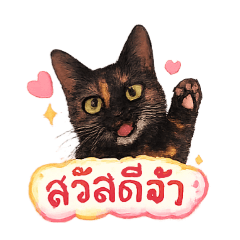 Poring_20260726143852