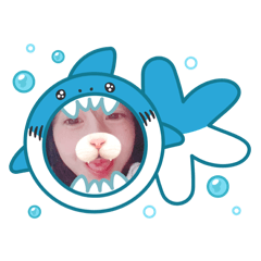 Socute_20260726155613