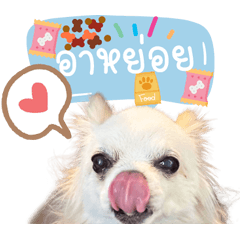 ฮัลโหล ผมหมั่นโถวเองค้าบ