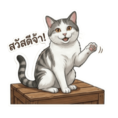 Little Normally cat