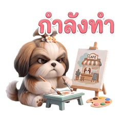 Cute Shih Tzu Daily Life