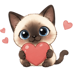 Cute Siamese Kitty Everyday Cat Life