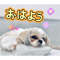 Sio_20260803163751