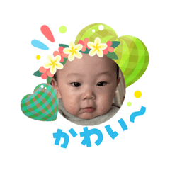 tapi_2026080316355