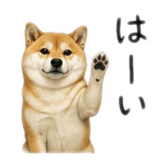 apple_20260803163616