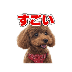 Hana_20260803163443