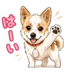 kihibo_20260803163757