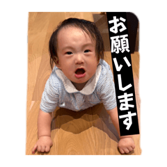 GOTO SHIN_20260803163101