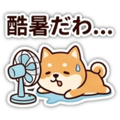 rinko_20260803163846