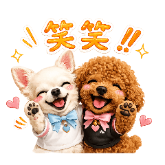 su-ha-_20260803171930