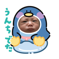 Yuzu/1-month