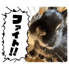 hana_20260803173353